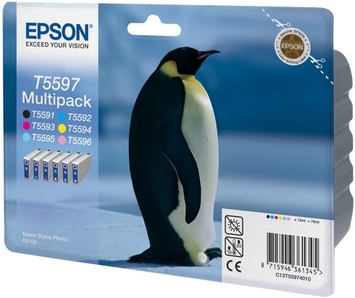 Картридж Epson StPhoto RX700 Bundle (Bk, C, M, Y, LC, LM) (C13T55974010) - Фото №1